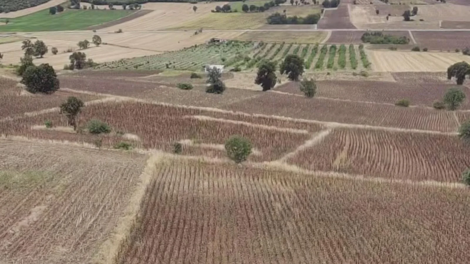 Erbaa Değirmenli köyünde 8136 m2 satılık tarla - Resim 1