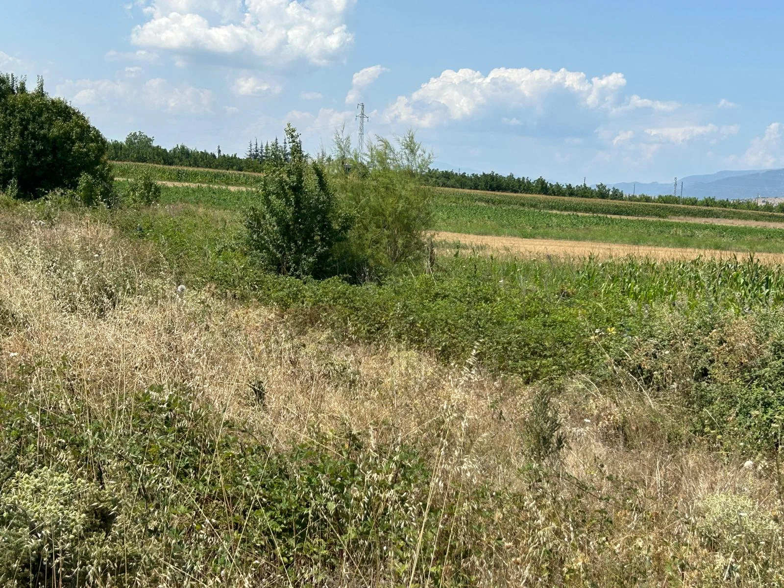 Erbaa tepe kışla D100 karayolu üzerinde 7317 m2 satılık tarla - Resim 15