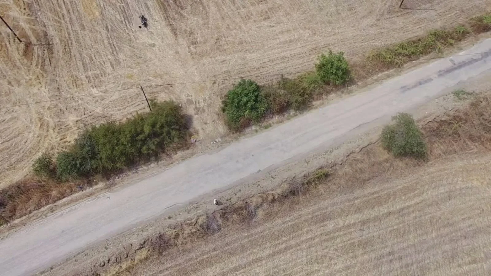 Erbaa yeni mahalle hacı bükü yolu üzerinde 11623m2 satılık  tarla - Resim 4