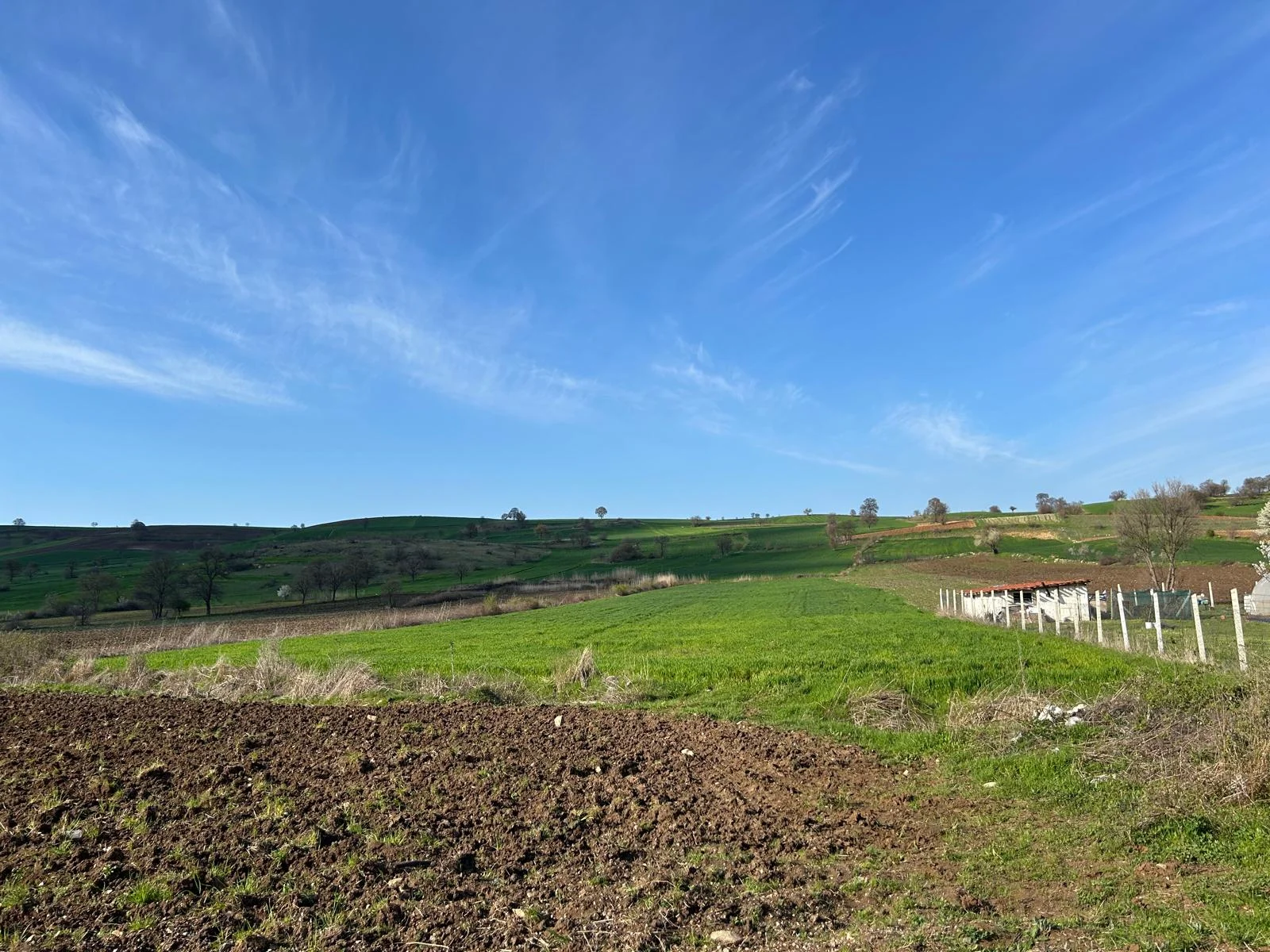 ERBAA KOÇAK MAHALLESİ AKKOÇ VE TANOBA YOLU ÜZERİNDE 5435 M2 TARLA - Resim 13
