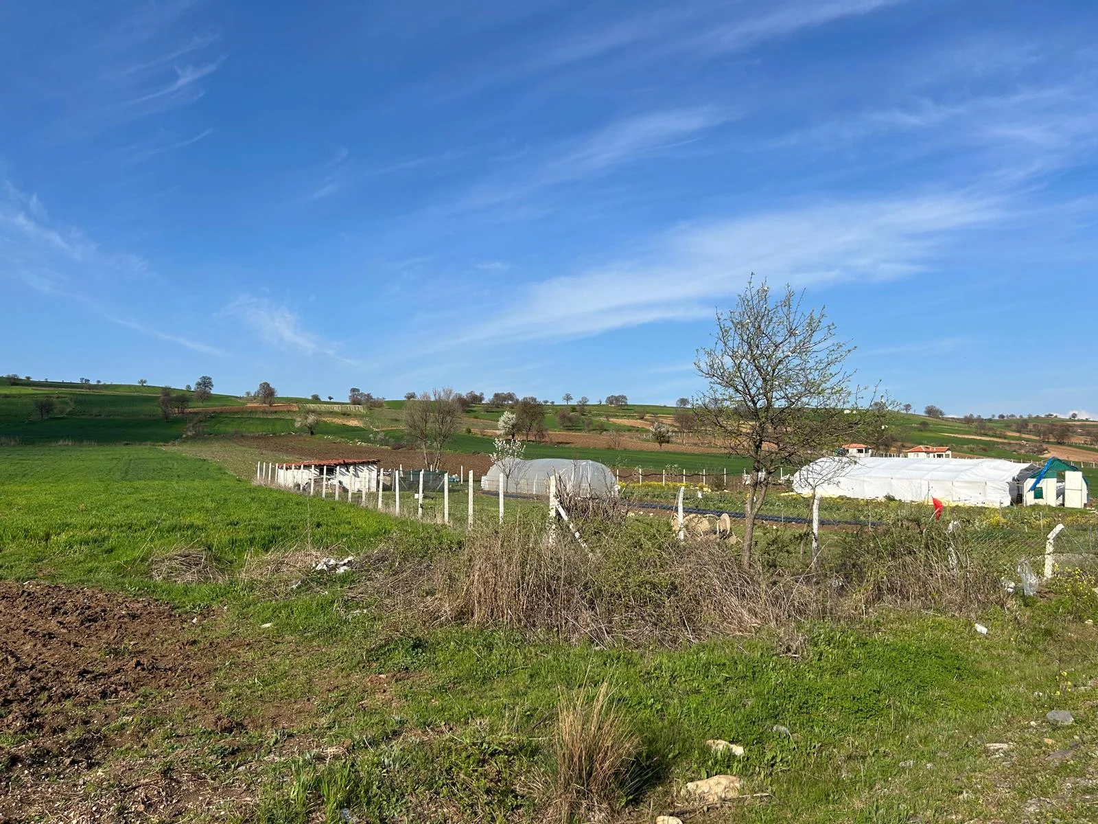 ERBAA KOÇAK MAHALLESİ AKKOÇ VE TANOBA YOLU ÜZERİNDE 5435 M2 TARLA - Resim 14