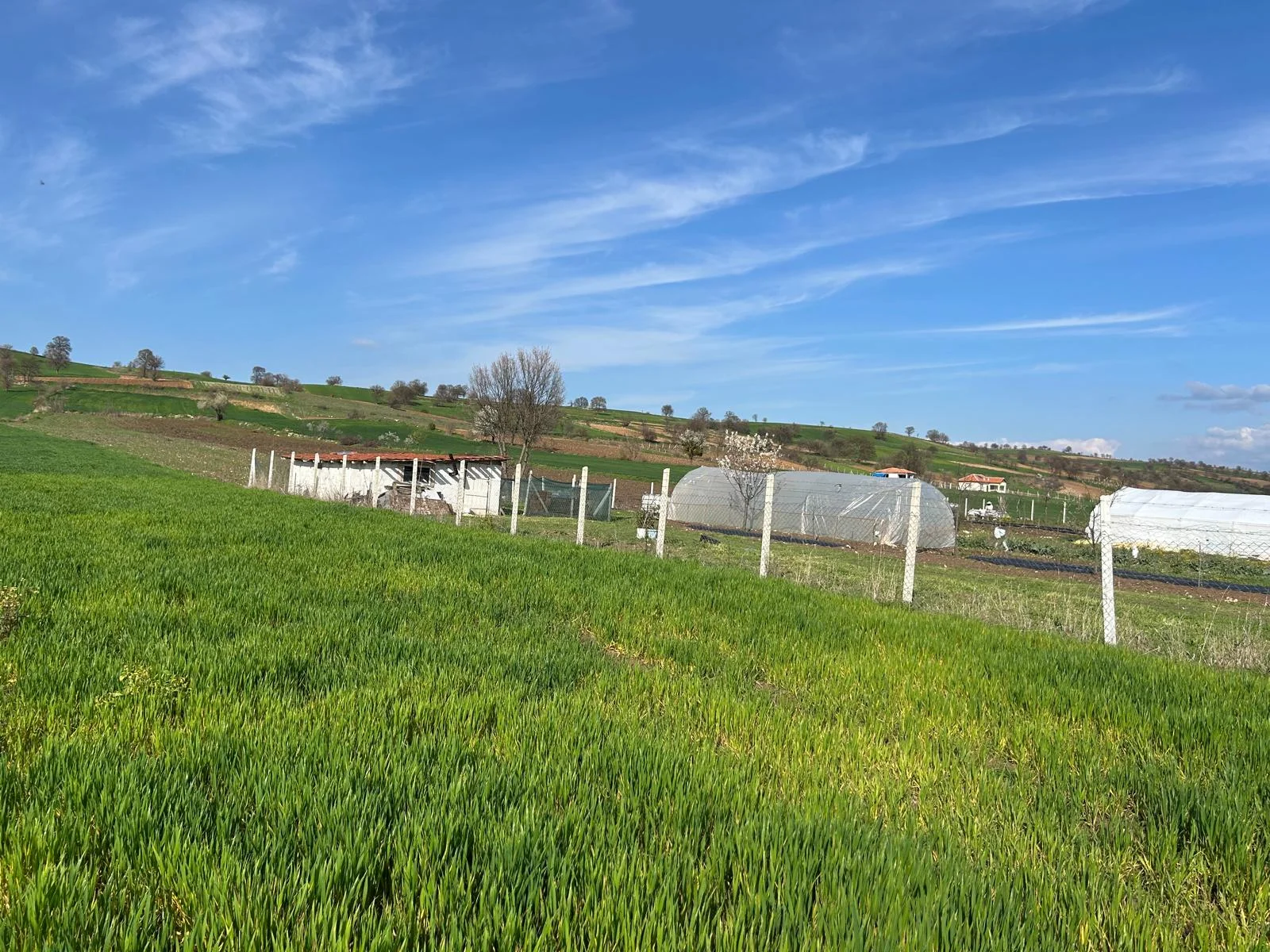 ERBAA KOÇAK MAHALLESİ AKKOÇ VE TANOBA YOLU ÜZERİNDE 5435 M2 TARLA - Resim 4