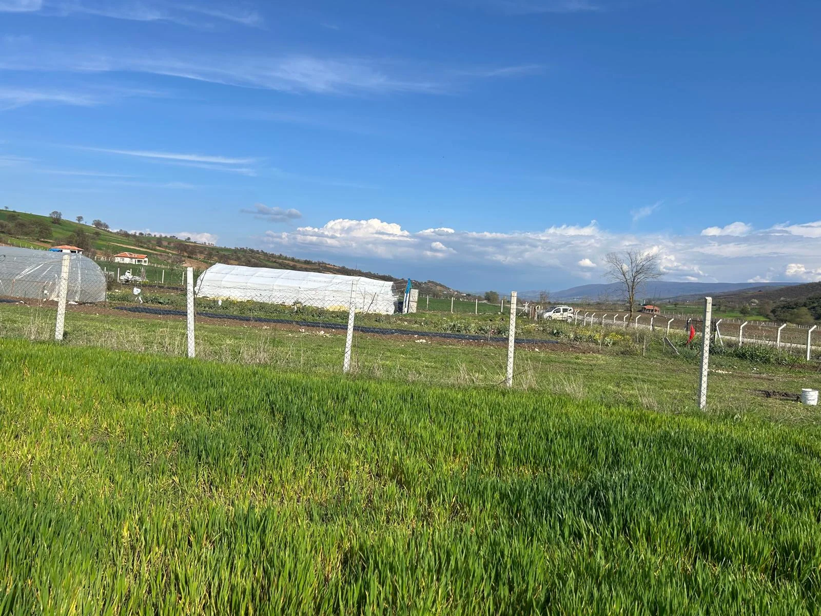 ERBAA KOÇAK MAHALLESİ AKKOÇ VE TANOBA YOLU ÜZERİNDE 5435 M2 TARLA - Resim 5