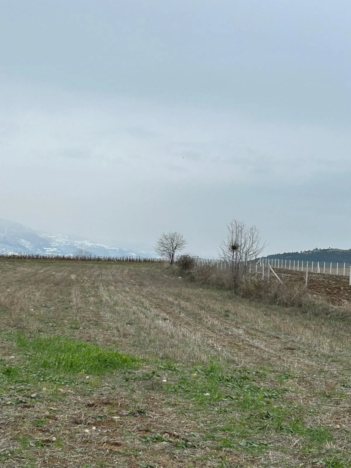 Tokat Erbaa Yeni Mahalle  kül farı Mevkiinde 6377 M2 Satılık tarla - Resim 16