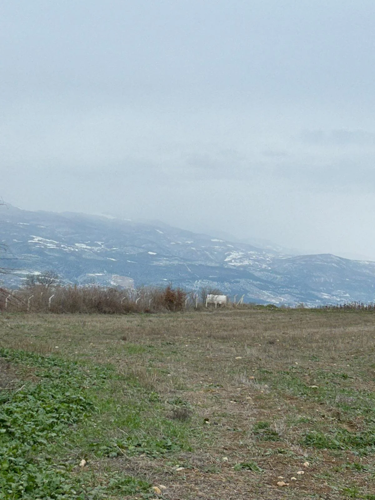 Tokat Erbaa Yeni Mahalle  kül farı Mevkiinde 6377 M2 Satılık tarla - Resim 17