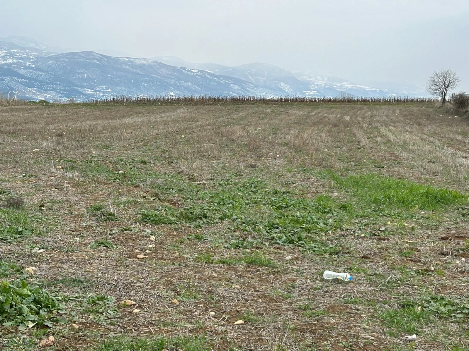 Tokat Erbaa Yeni Mahalle  kül farı Mevkiinde 6377 M2 Satılık tarla - Resim 18