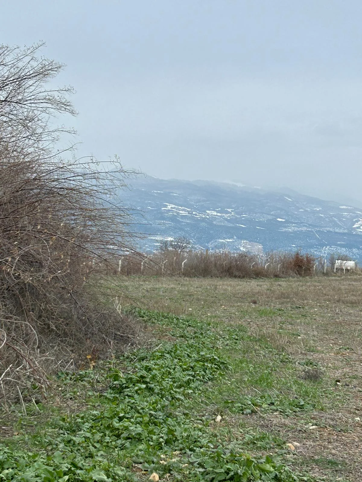 Tokat Erbaa Yeni Mahalle  kül farı Mevkiinde 6377 M2 Satılık tarla - Resim 20