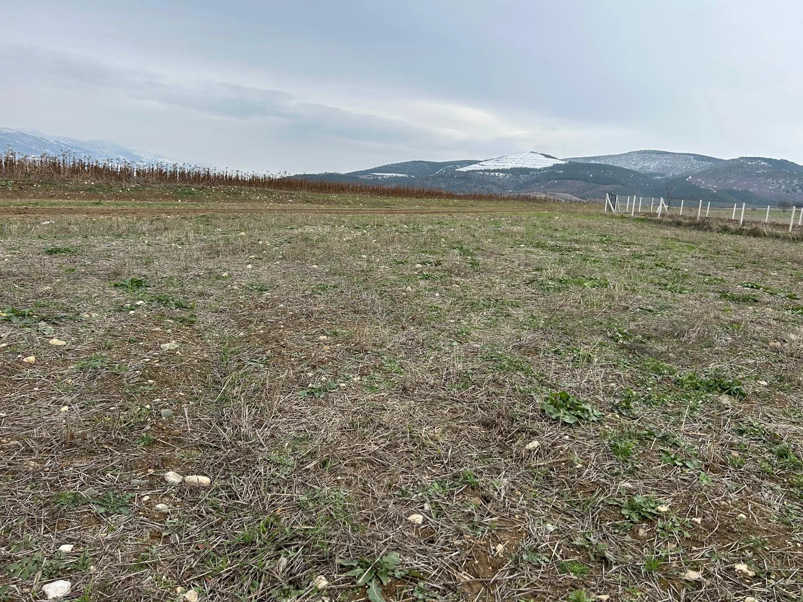 Tokat Erbaa Yeni Mahalle  kül farı Mevkiinde 6377 M2 Satılık tarla - Resim 3